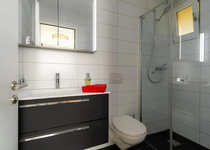 Altishofen * 利德阿尔卑斯